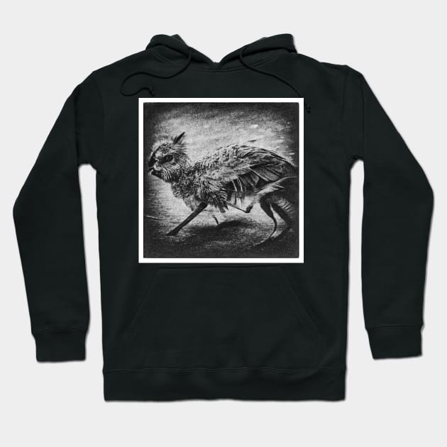 Black Chimera Hoodie by Anigroove